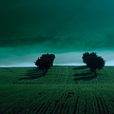 Campagne di Recanati
